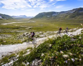 Escursione in bici per due sul fiume Tirino - Abruzzo - Greenscount