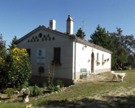 Esterno-Masseria-Testa-Soggiorno-in-Molise-Greenscount-Viaggi-scontati-700x448